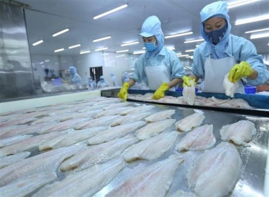 SEAFOOD EXPORTERS FLOUNDERING DUE TO COVID-19