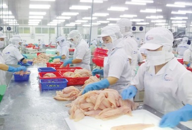 PROVINCES IN THE MEKONG DELTA SPEED UP EXPORT OF SEAFOOD