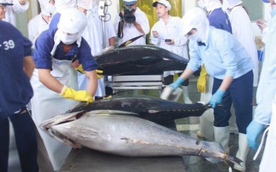 COVID-19 CONTINUED TO AFFECT TUNA EXPORTS