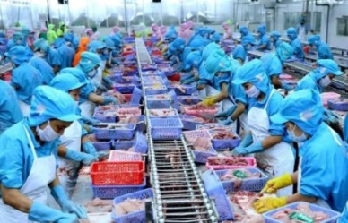 EVFTA OFFERS HUGE OPPORTUNITIES FOR SEAFOOD SECTOR TO REACH OUT