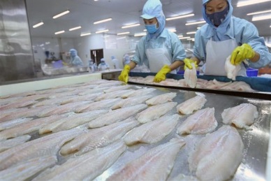 SINGAPORE - BRIGHT SPOT IN VN PANGASIUS EXPORTS TO ASEAN