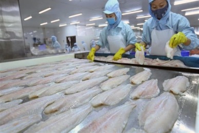 PANGASIUS EXPORTS IN 2019 MAY SEE THE NEGATIVE GROWTH