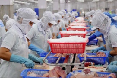 PANGASIUS EXPORTS TO JAPAN WENT UP SLIGHTLY