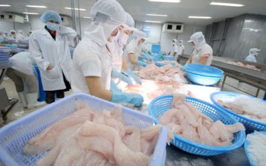 POSITIVE RESULT IN PANGASIUS EXPORTS TO SINGAPORE AND THE UK
