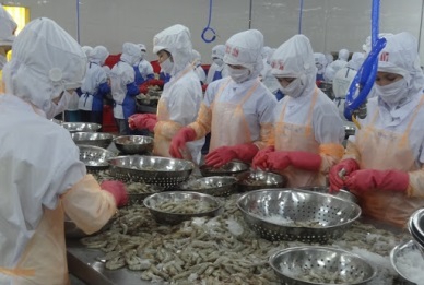 SEAFOOD EXPORTS TO EU ROSE SLIGHTLY