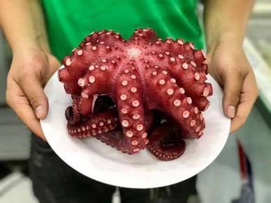CEPHALOPOD EXPORTS TO CHINA HIKED BY 53%