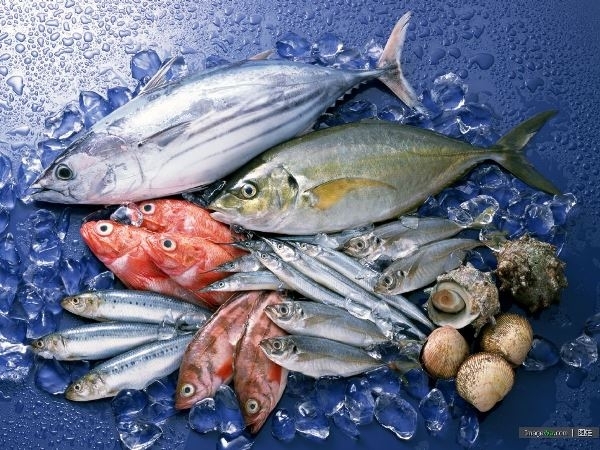 Seafood exports to Japan will not have a breakthrough in 2024